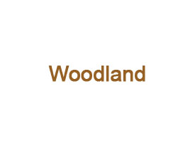 Verfügbare Artikel Woodland